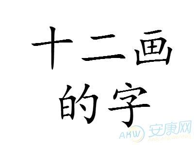 12劃中文字|12画的字